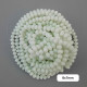 Glass Beads 8mm Rondelle Faceted - White - 1 String / 65 Beads