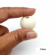 Wooden Beads 24mm Round - Ivory - 6 Beads