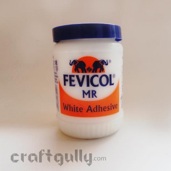 Fevicol MR White Adhesive (100gms)